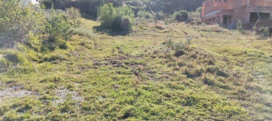 0 Bedroom Property for Sale in Green Pastures Western Cape